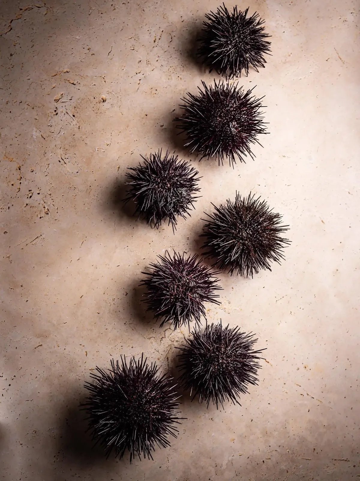 les oursins Petit Violet de Bretagne font bient&ocirc;t leur grand retour au Bor&eacute;al, au menu d&eacute;gustation. 🌊 

#restaurant #paris #gastronomie #michelin

📸 @_____pepa